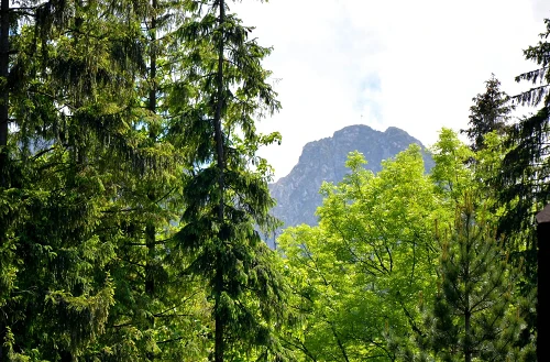 Widok na góry ze schroniska